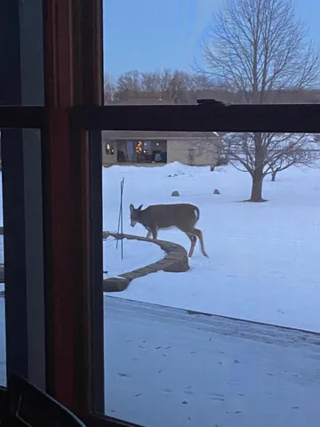 $540,000 | 2061 10th Avenue, Star Prairie, WI 54026