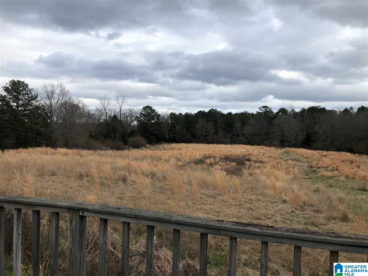 433 County Road 110 Randolph, AL 36792 - Photo 11 of 12
