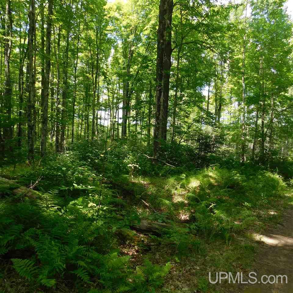 Tbd Off Solberg Lake Road Felch, MI 49831 - Photo 2 of 9