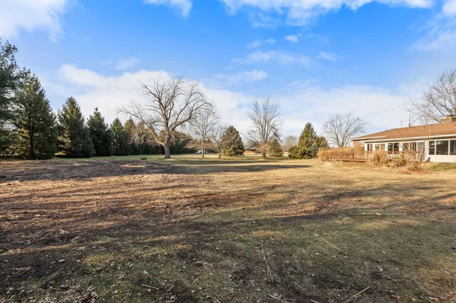 a view of dirt yard with a large tree