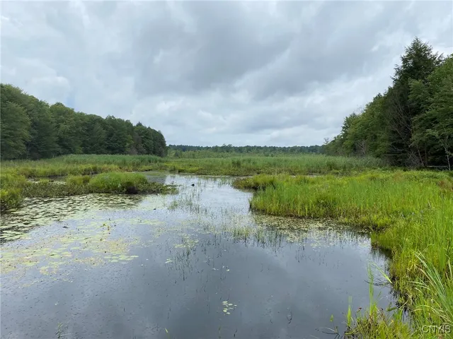 $104,900 | Fisherman S Bridge Road, Williamstown, NY 13493