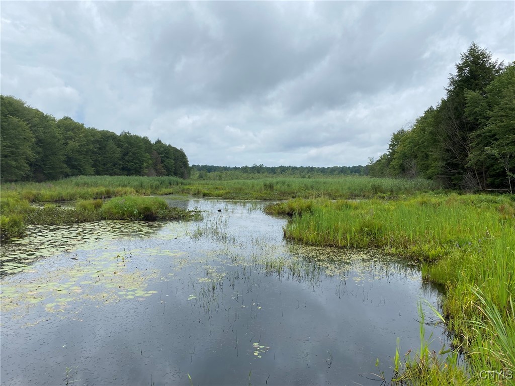View of Little River from Bridge