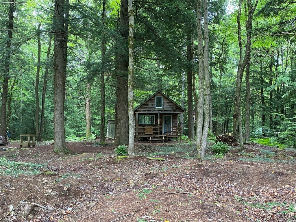 Fisherman S Bridge Road Williamstown, NY 13493 - Photo 12 of 35 Riverside View East