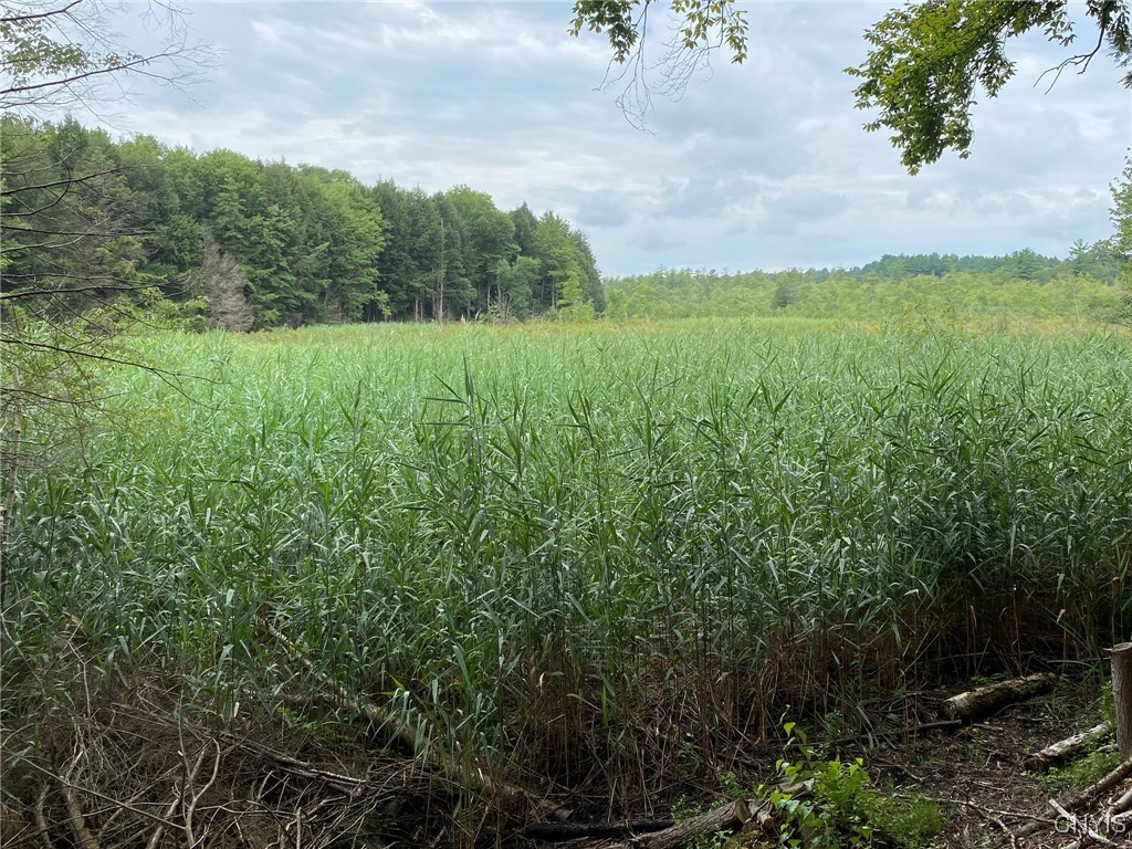 Fisherman S Bridge Road Williamstown, NY 13493 - Photo 13 of 35 Shoreline View of Little River Flow
