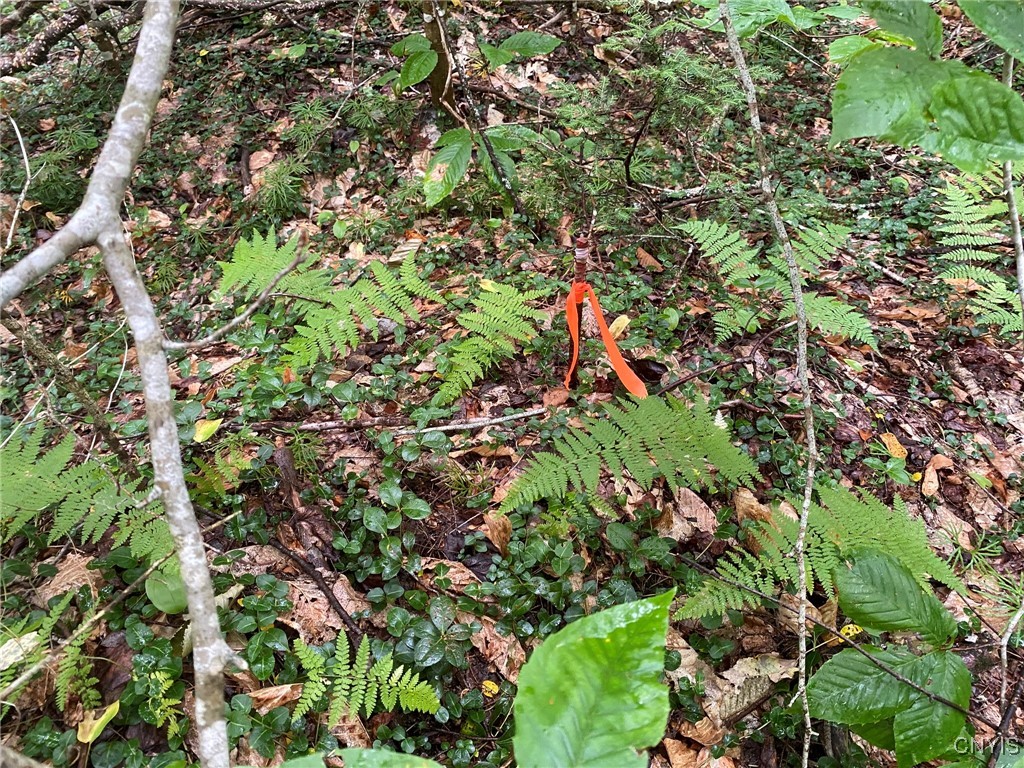 Fisherman S Bridge Road Williamstown, NY 13493 - Photo 33 of 35 Corner Post