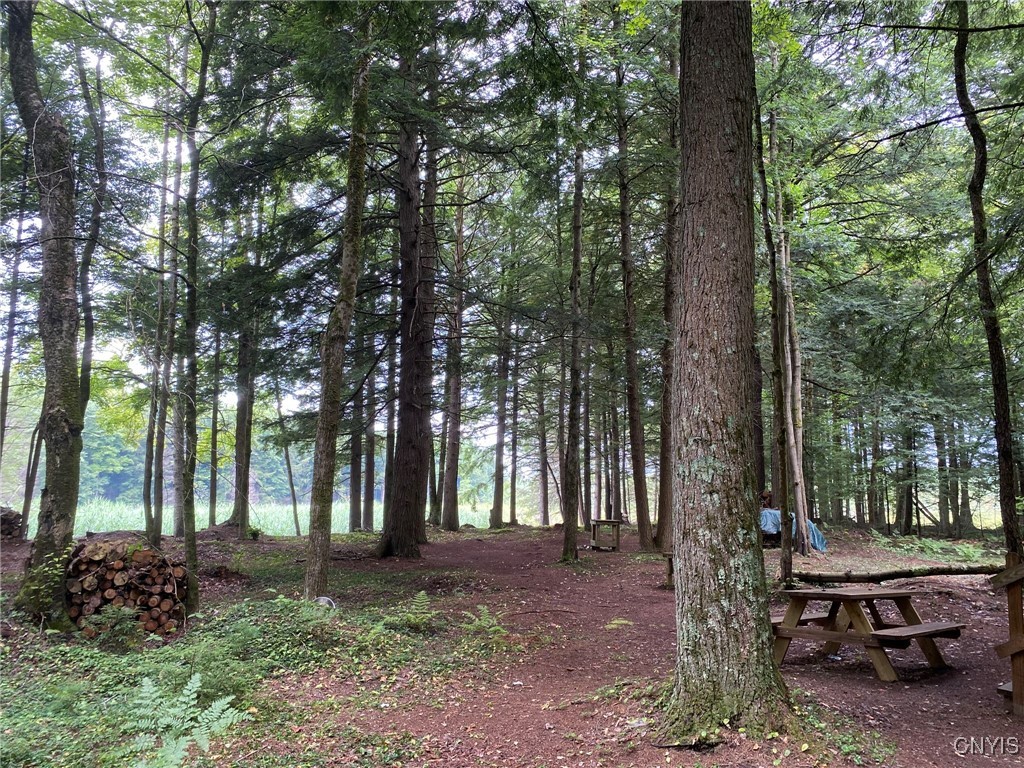 Fisherman S Bridge Road Williamstown, NY 13493 - Photo 7 of 35 View Looking West