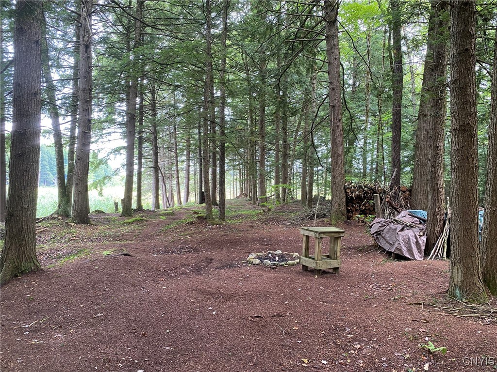 Fisherman S Bridge Road Williamstown, NY 13493 - Photo 8 of 35 Front Yard