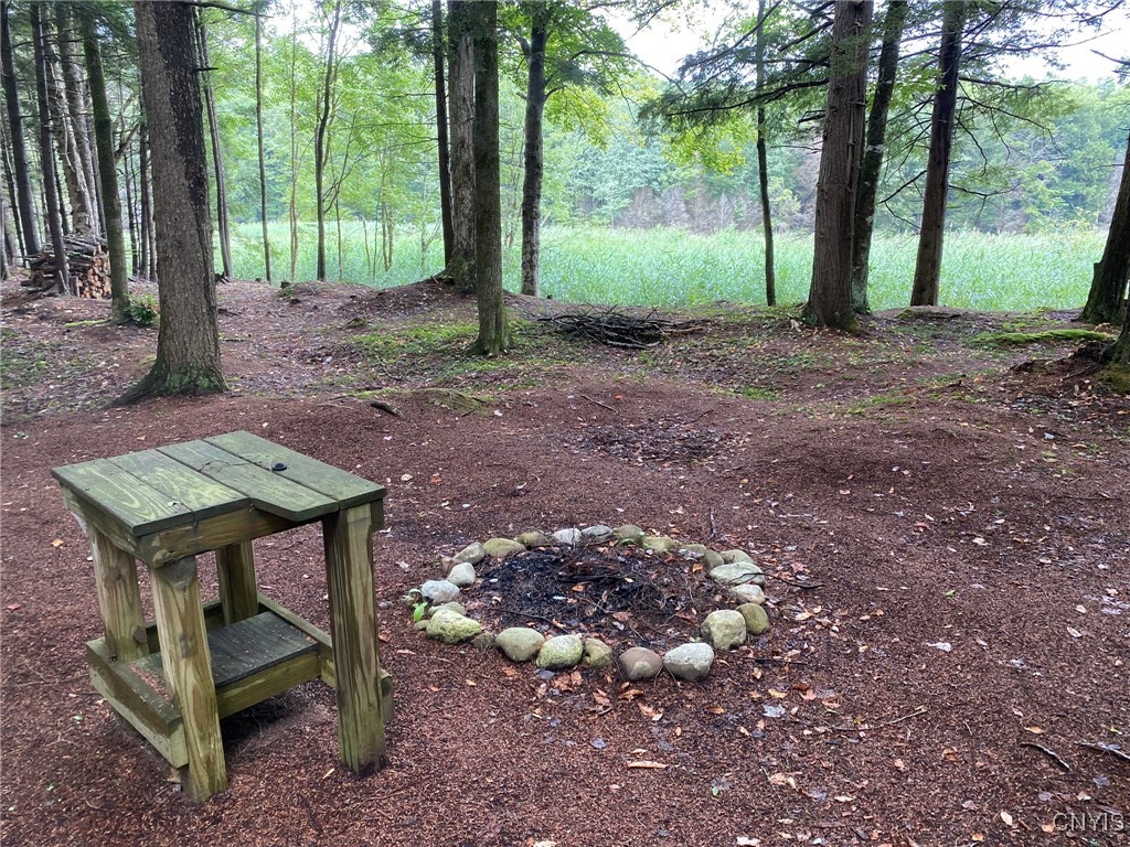 Fisherman S Bridge Road Williamstown, NY 13493 - Photo 9 of 35 Bonfire Site