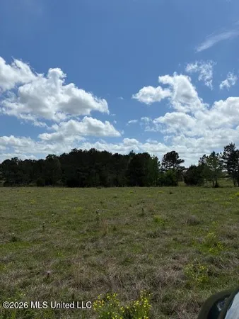 $648,000 | 331 D Williams Road, Morton, MS 39117