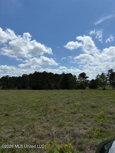 331 D Williams Road Morton, MS 39117 - Photo 2 of 6 IMG_3741