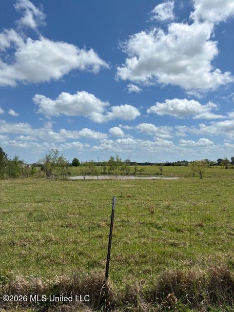 331 D Williams Road Morton, MS 39117 - Photo 4 of 6 IMG_3733