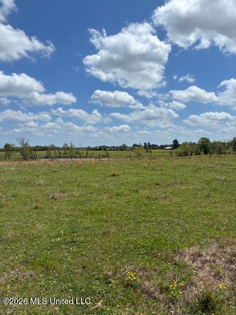 331 D Williams Road Morton, MS 39117 - Photo 5 of 6 IMG_3729