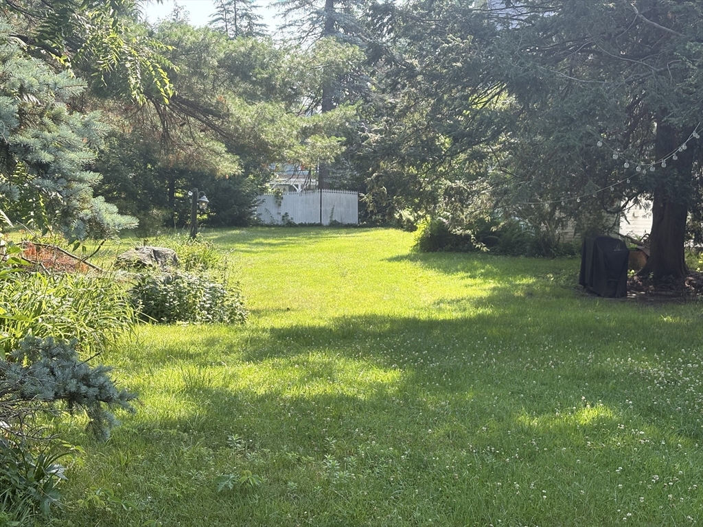 12 Nelson Place Worcester, MA 01605 - Photo 10 of 21