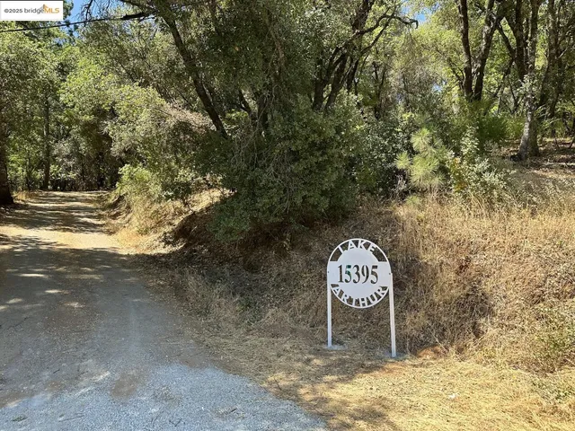 a table with chairs and a trees