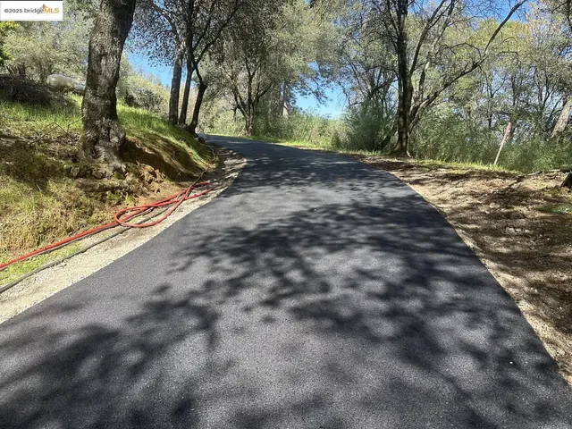 a view of a yard with plants and trees