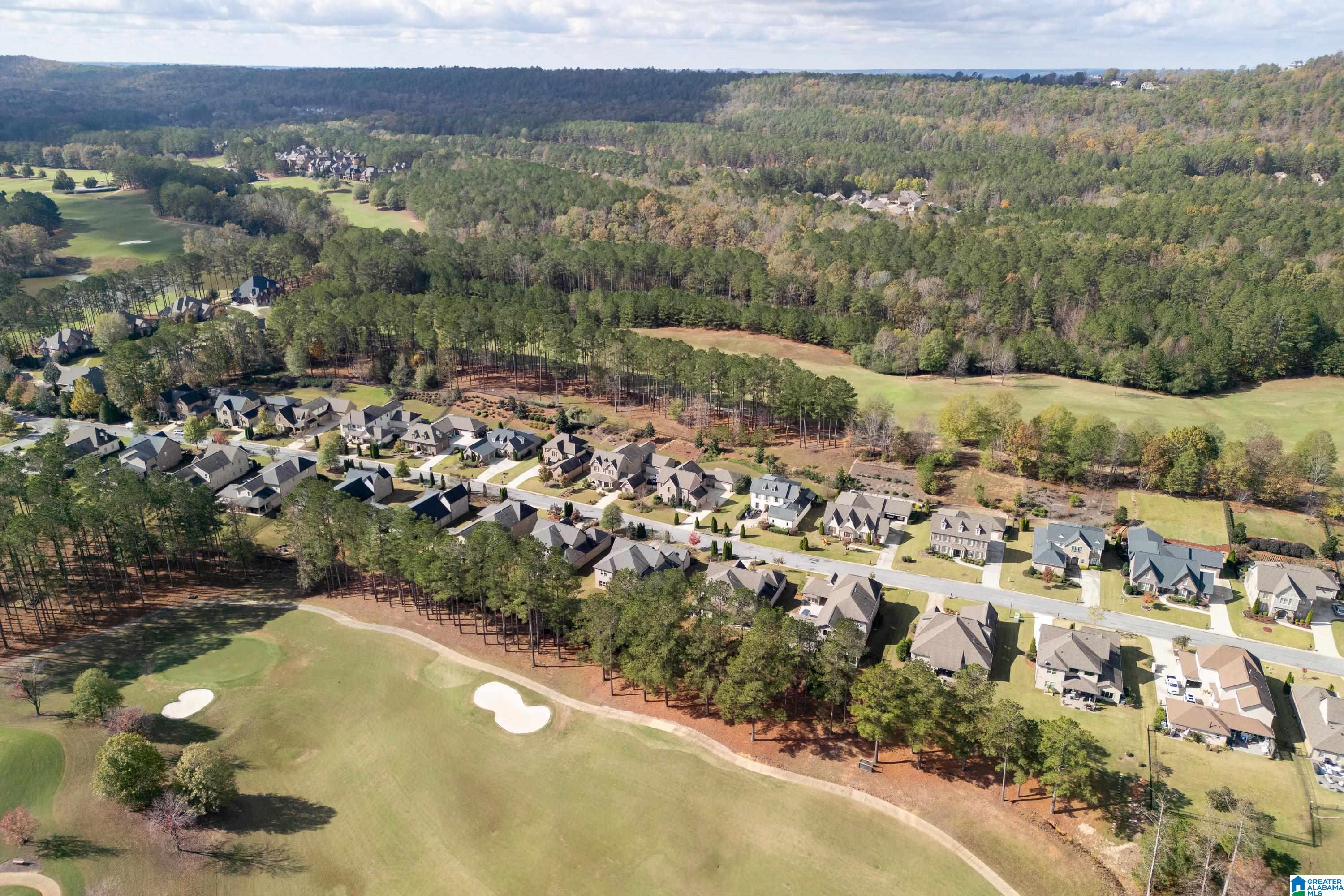 317 Kilkerran Lane Pelham, AL 35124 - Photo 77 of 83