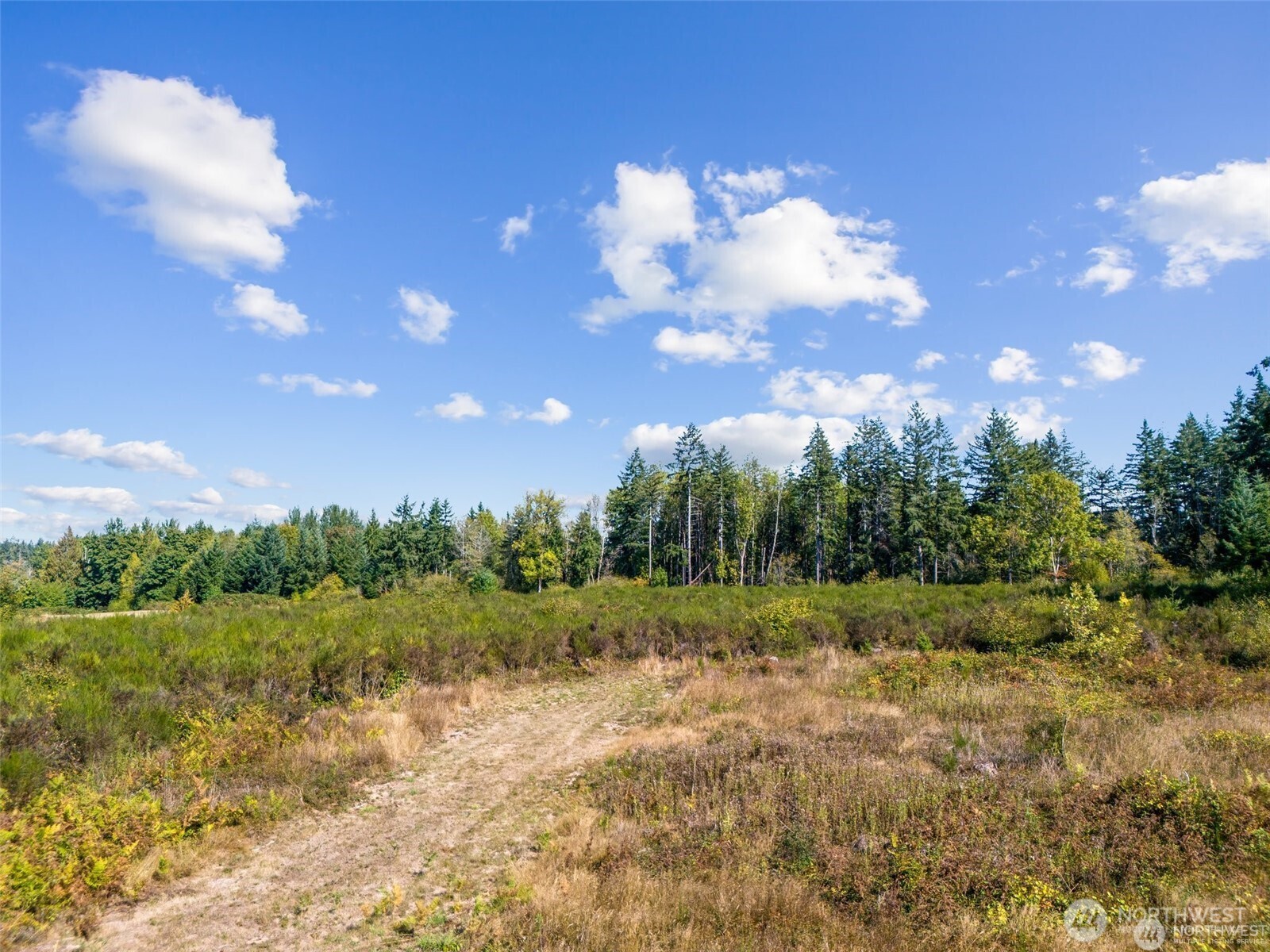 0 Koontz Road Napavine, WA 98532 - Photo 12 of 21 a view of a big yard with lots of green space