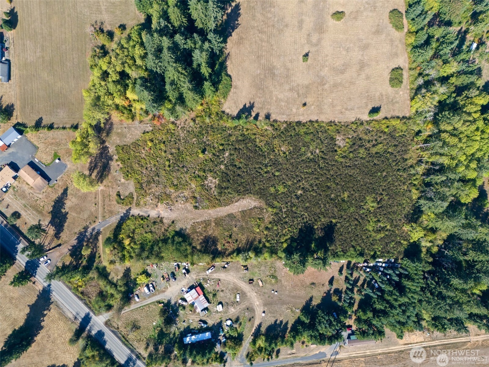 0 Koontz Road Napavine, WA 98532 - Photo 19 of 21 a view of a yard with plants and large trees