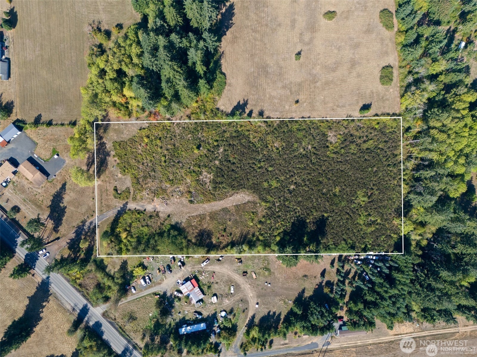0 Koontz Road Napavine, WA 98532 - Photo 6 of 21 an aerial view of a yard with plants