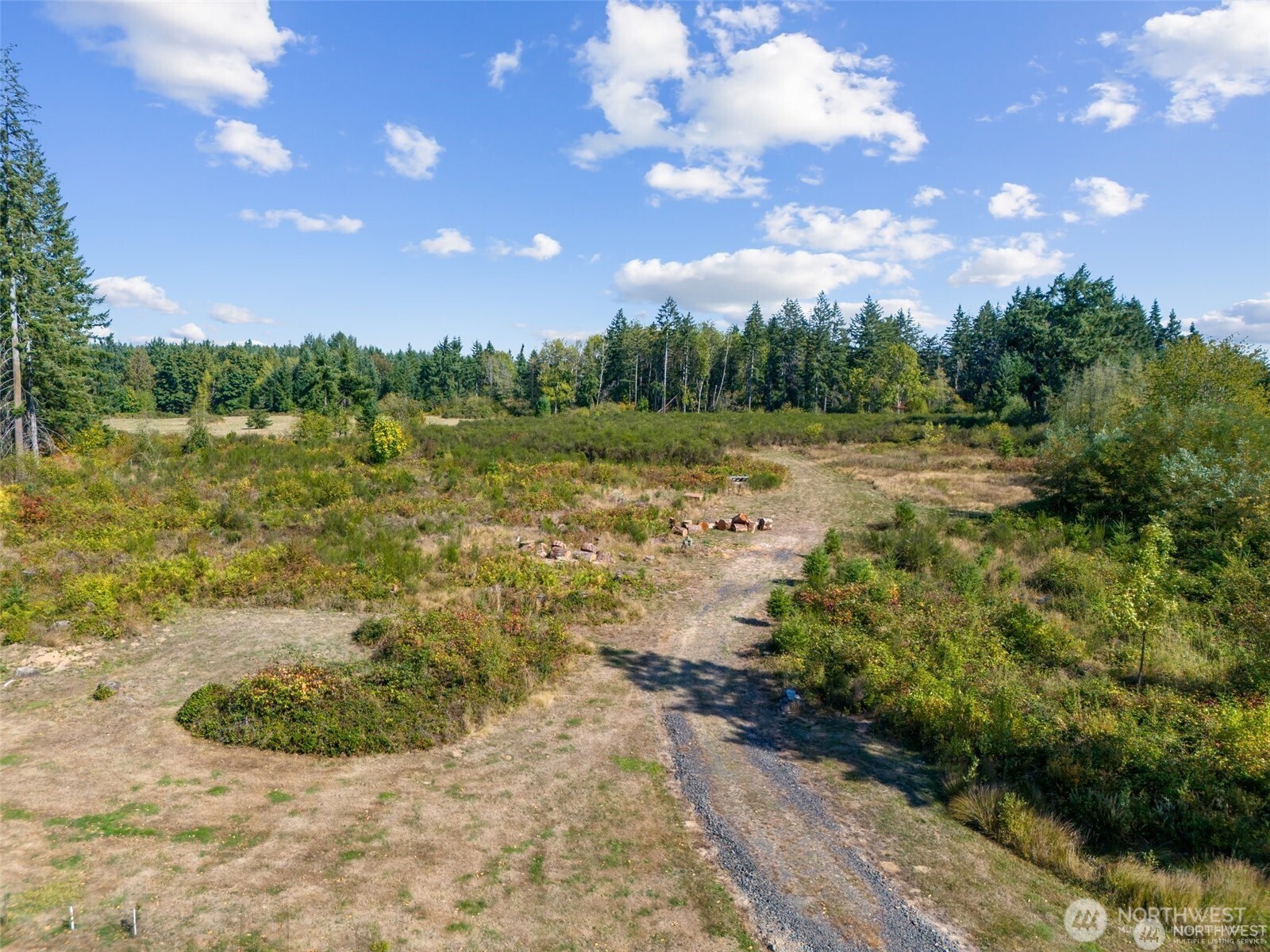 0 Koontz Road Napavine, WA 98532 - Photo 8 of 21 a view of a lake with a yard