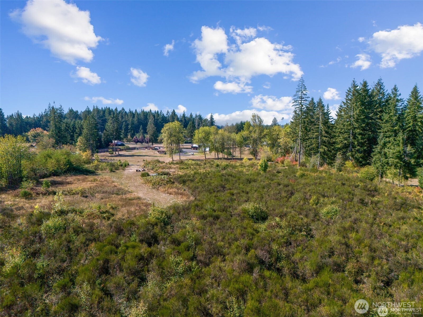 0 Koontz Road Napavine, WA 98532 - Photo 9 of 21 a view of a big yard with lots of green space