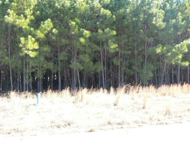 Lot 105 Rambler Court Myrtle Beach, SC 29588 - Photo 1 of 2 Gallery Image 1