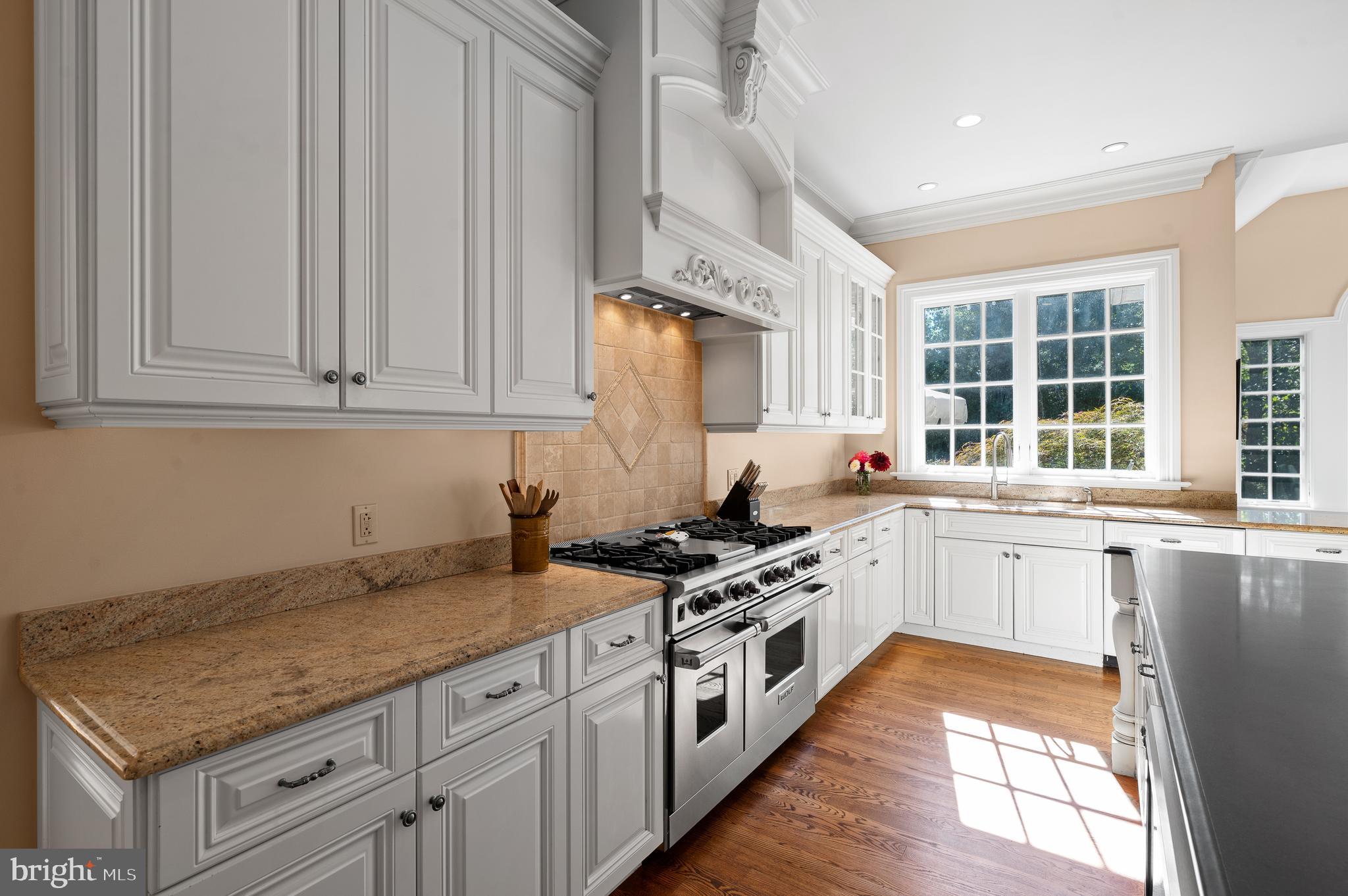 225 Fishers Road Bryn Mawr, PA 19010 - Photo 12 of 44 Gourmet Kitchen