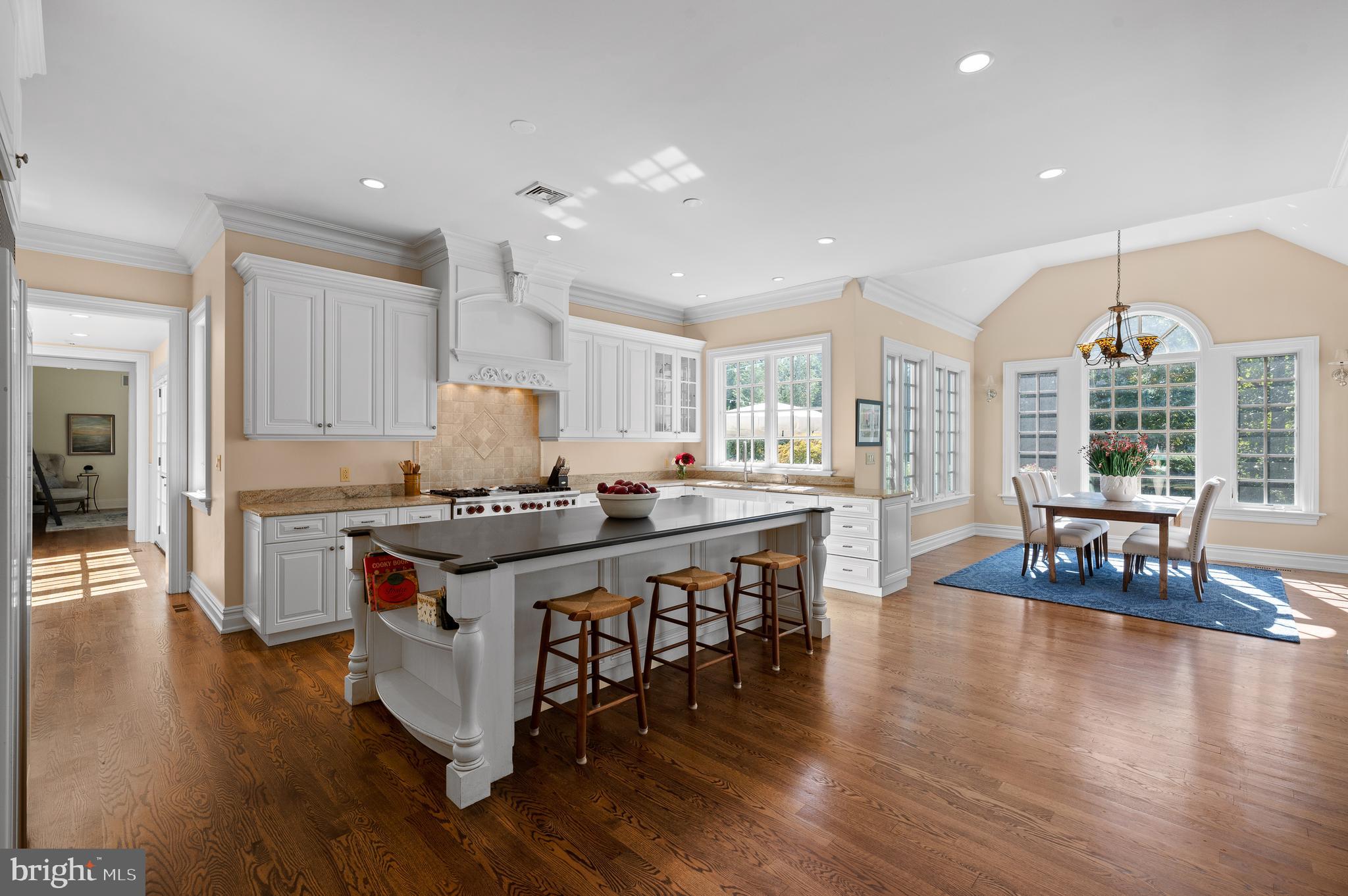 225 Fishers Road Bryn Mawr, PA 19010 - Photo 13 of 44 Gourmet Kitchen