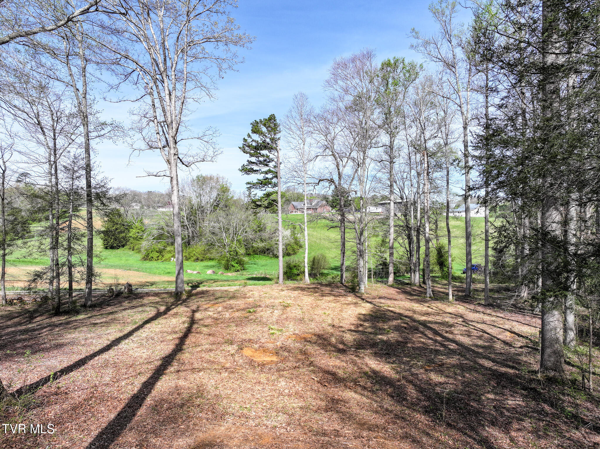 190 Treadway Road Chuckey, TN 37641 - Photo 6 of 34 DJI_20260406094153_0398_D