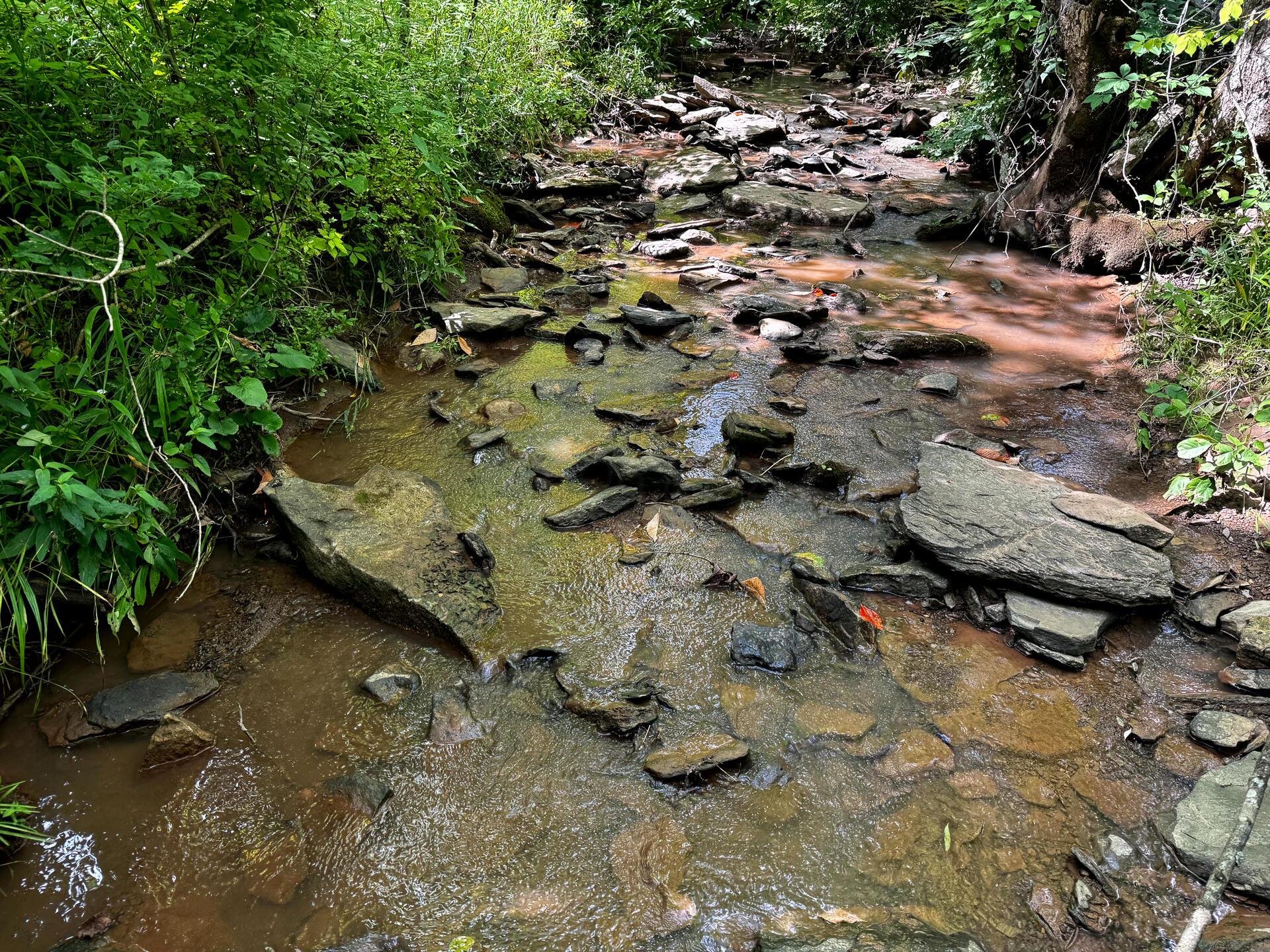 0 Barr Hollow Road, Unit OHIO RIVER RETREAT TRACT 3) Reedsville, OH 45772 - Photo 8 of 29 CT-8