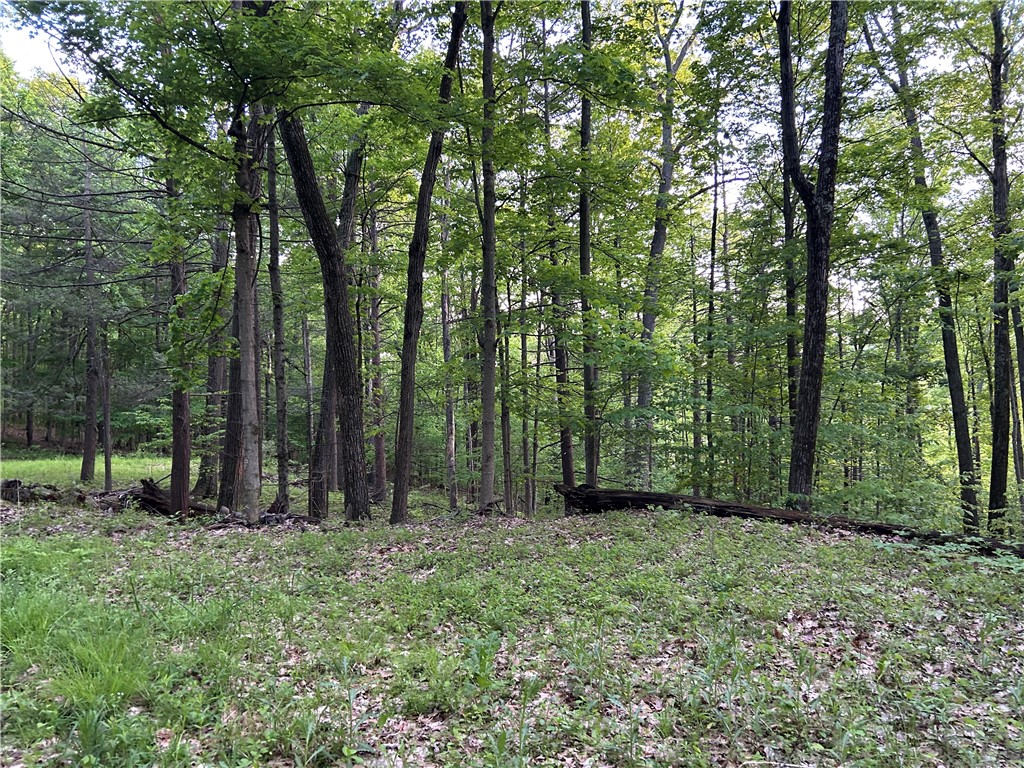 Silvernail Road Hammondsport, NY 14840 - Photo 22 of 25