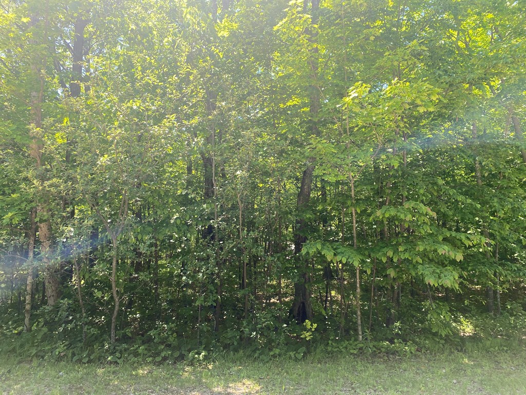 Lot 2 Stephens Way Egg Harbor, WI 54209 - Photo 2 of 5
