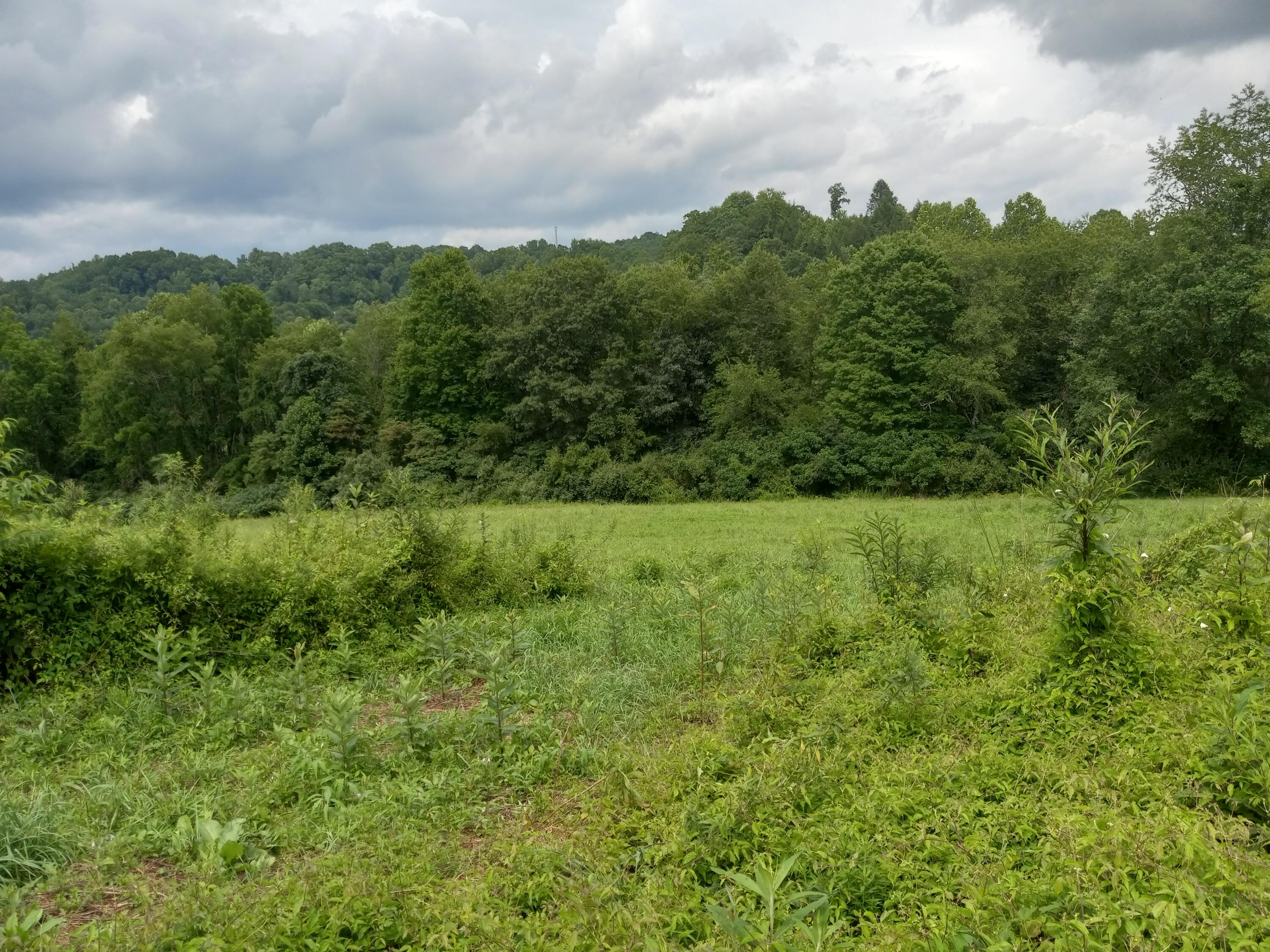 12415 Stafford Road Coeburn, VA 24230 - Photo 7 of 40 20220725_153851