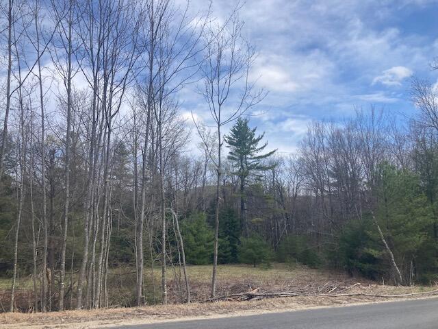 81 Butters Hill Road Stoneham, ME 04231 - Photo 4 of 7 IMG_2122