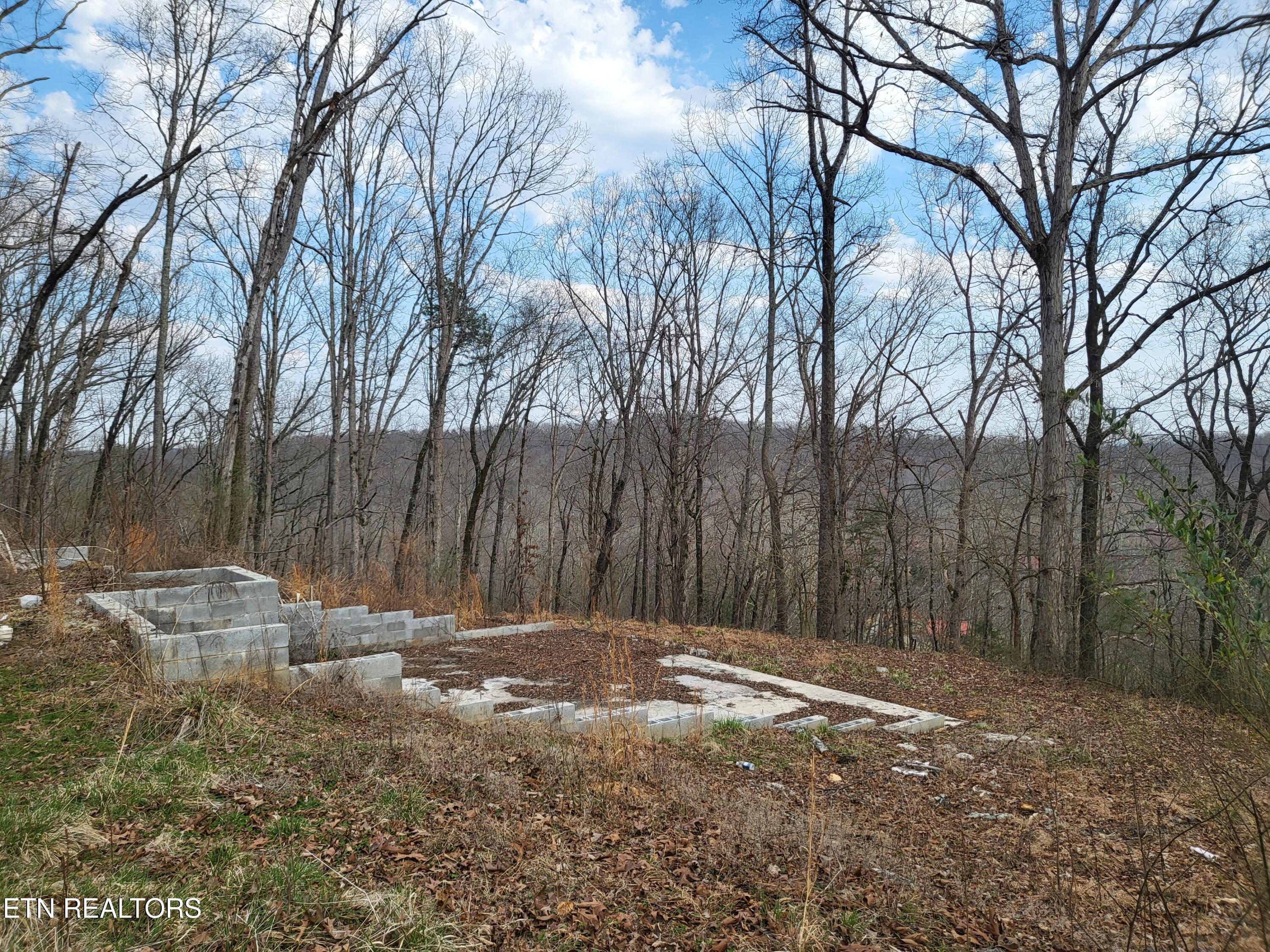 771 County Road 188 Decatur, pics