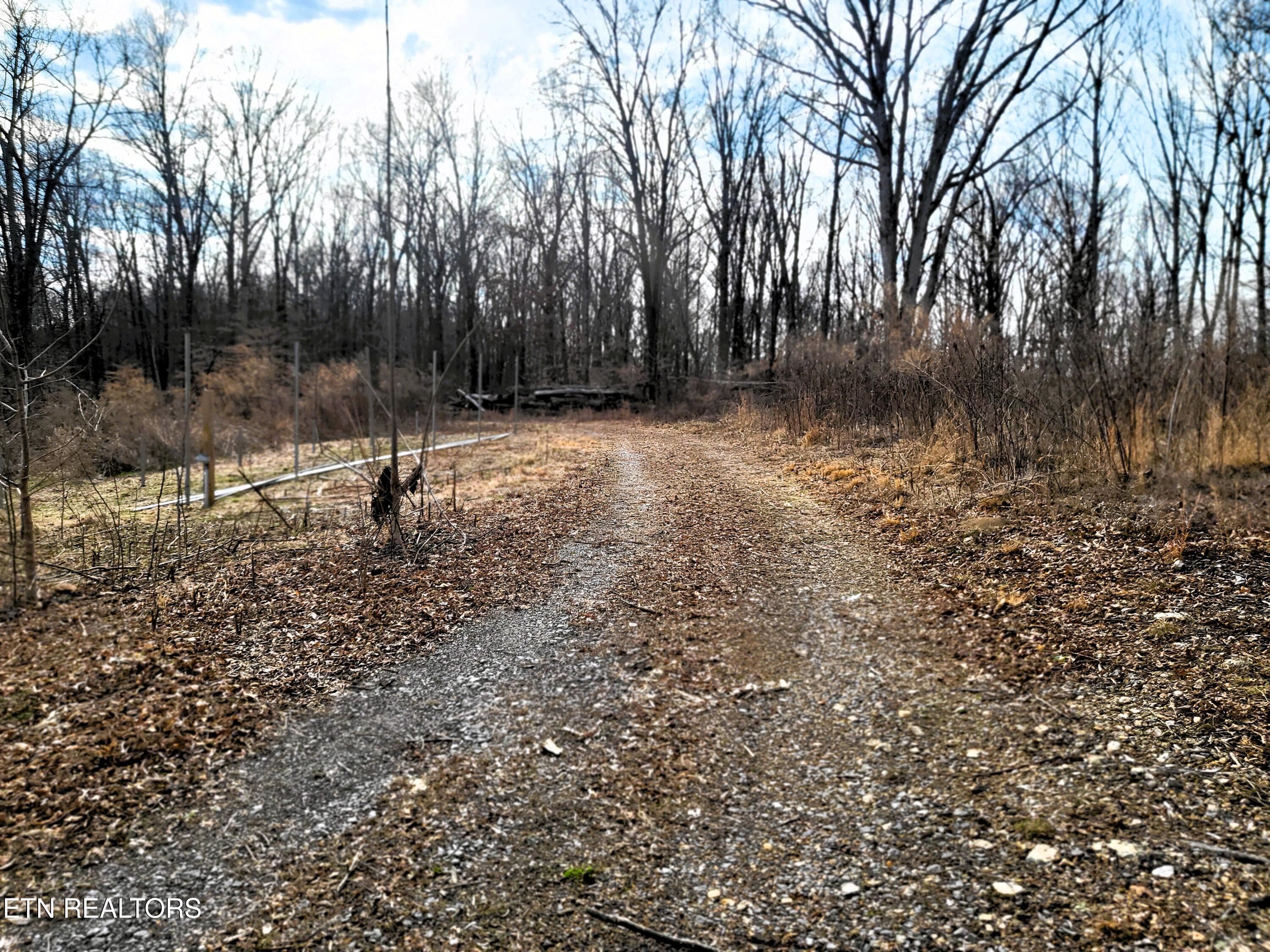 771 County Road 188 Decatur, TN 37322 - Photo 12 of 27 DRIVEWAY