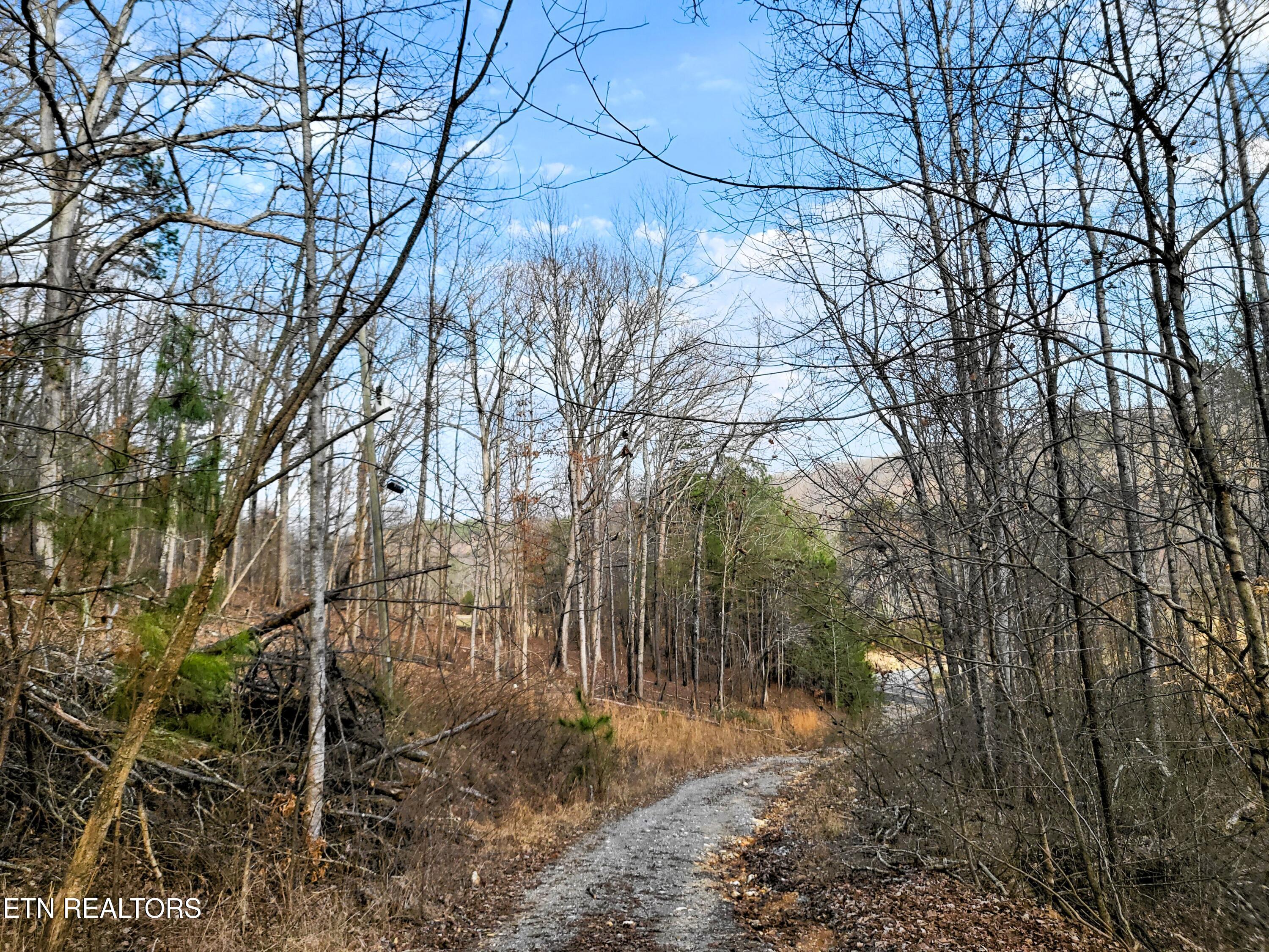 771 County Road 188 Decatur, TN 37322 - Photo 13 of 27 DRIVEWAY