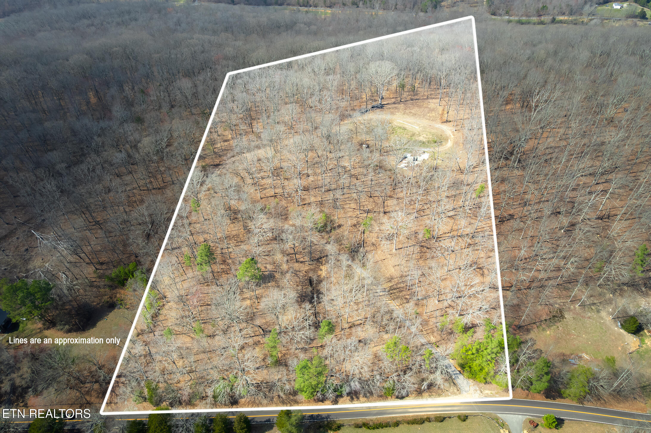 771 County Road 188 Decatur, TN 37322 - Photo 22 of 27 drone 2