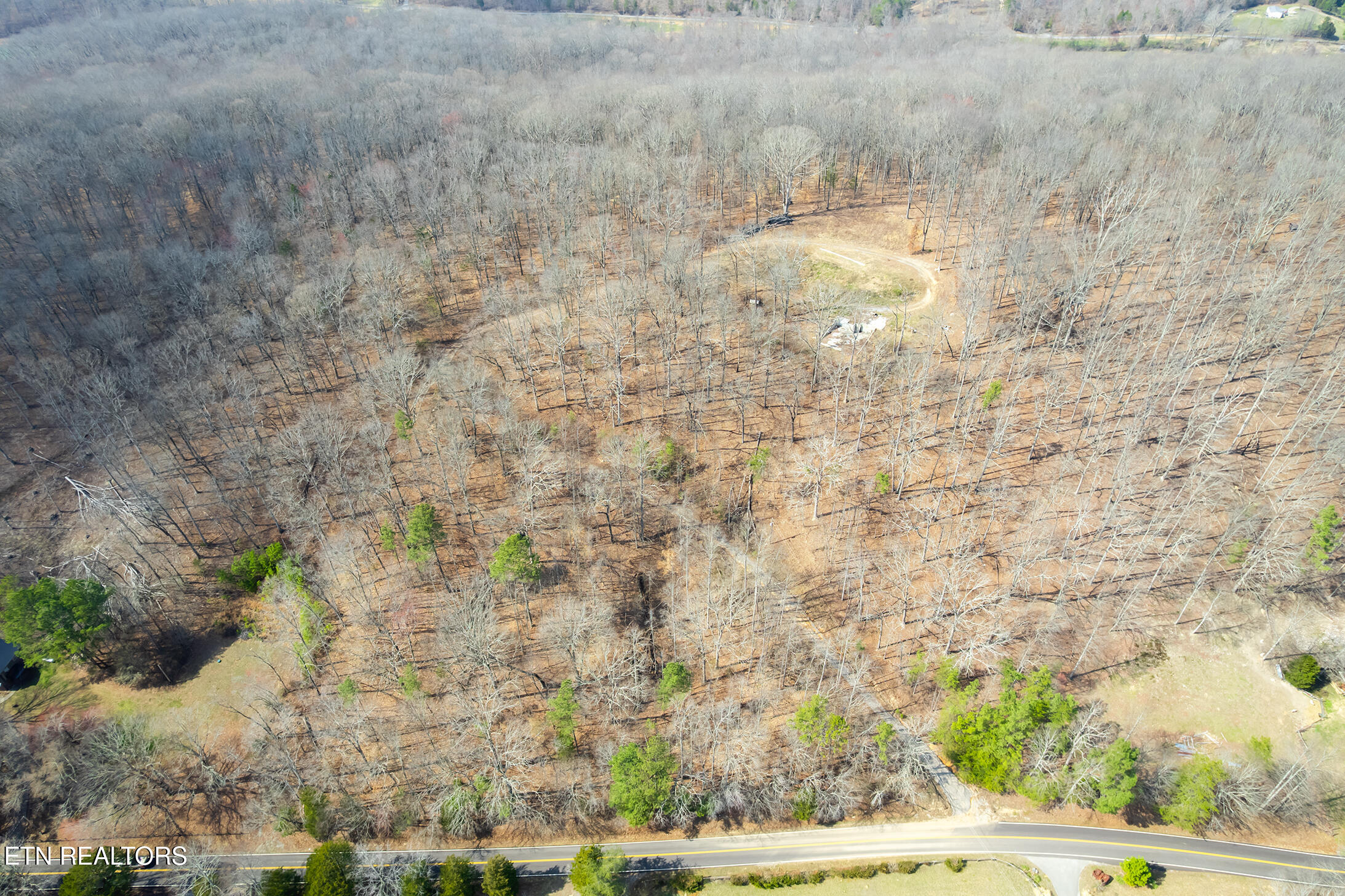 771 County Road 188 Decatur, TN 37322 - Photo 23 of 27 drone 3