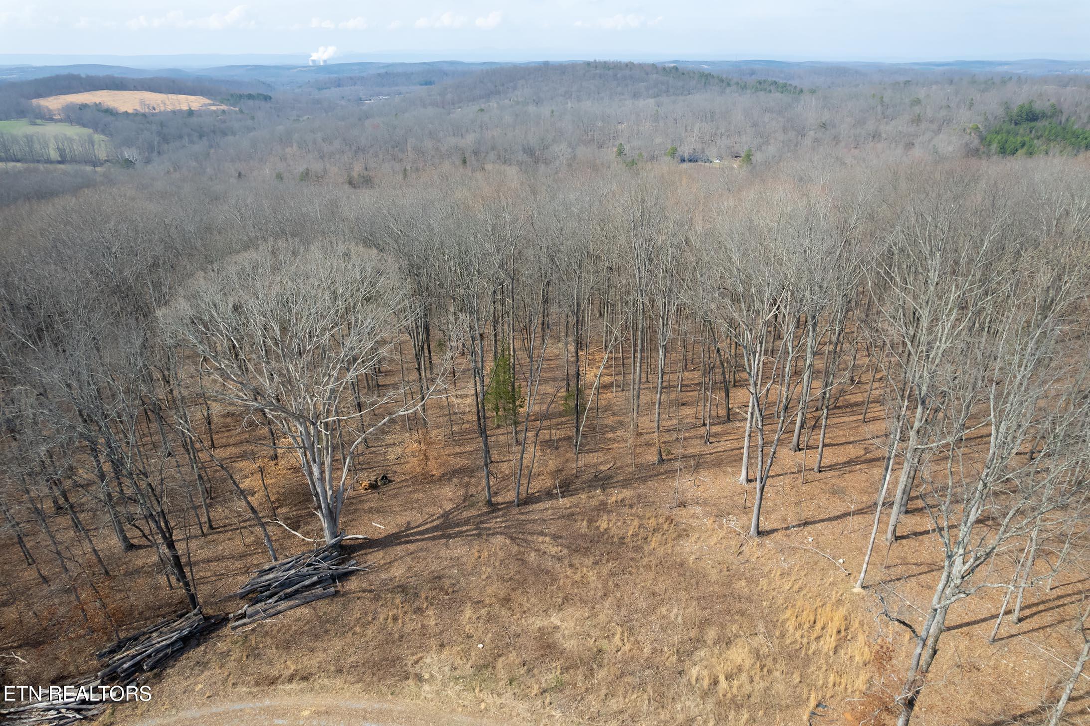 771 County Road 188 Decatur, TN 37322 - Photo 26 of 27 drone 6