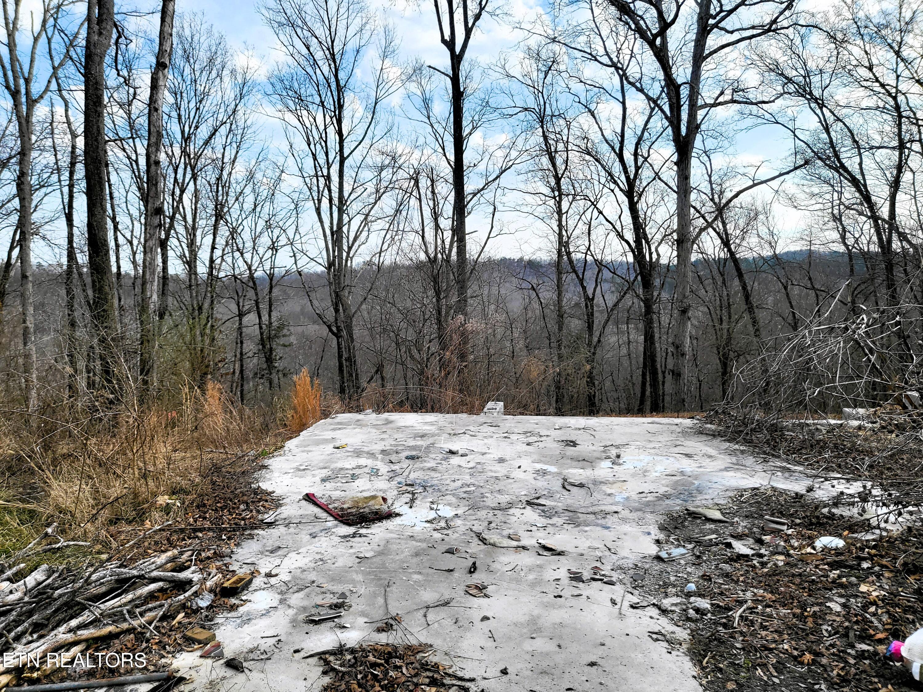 771 County Road 188 Decatur, TN 37322 - Photo 5 of 27 VIEW AND CEMENT