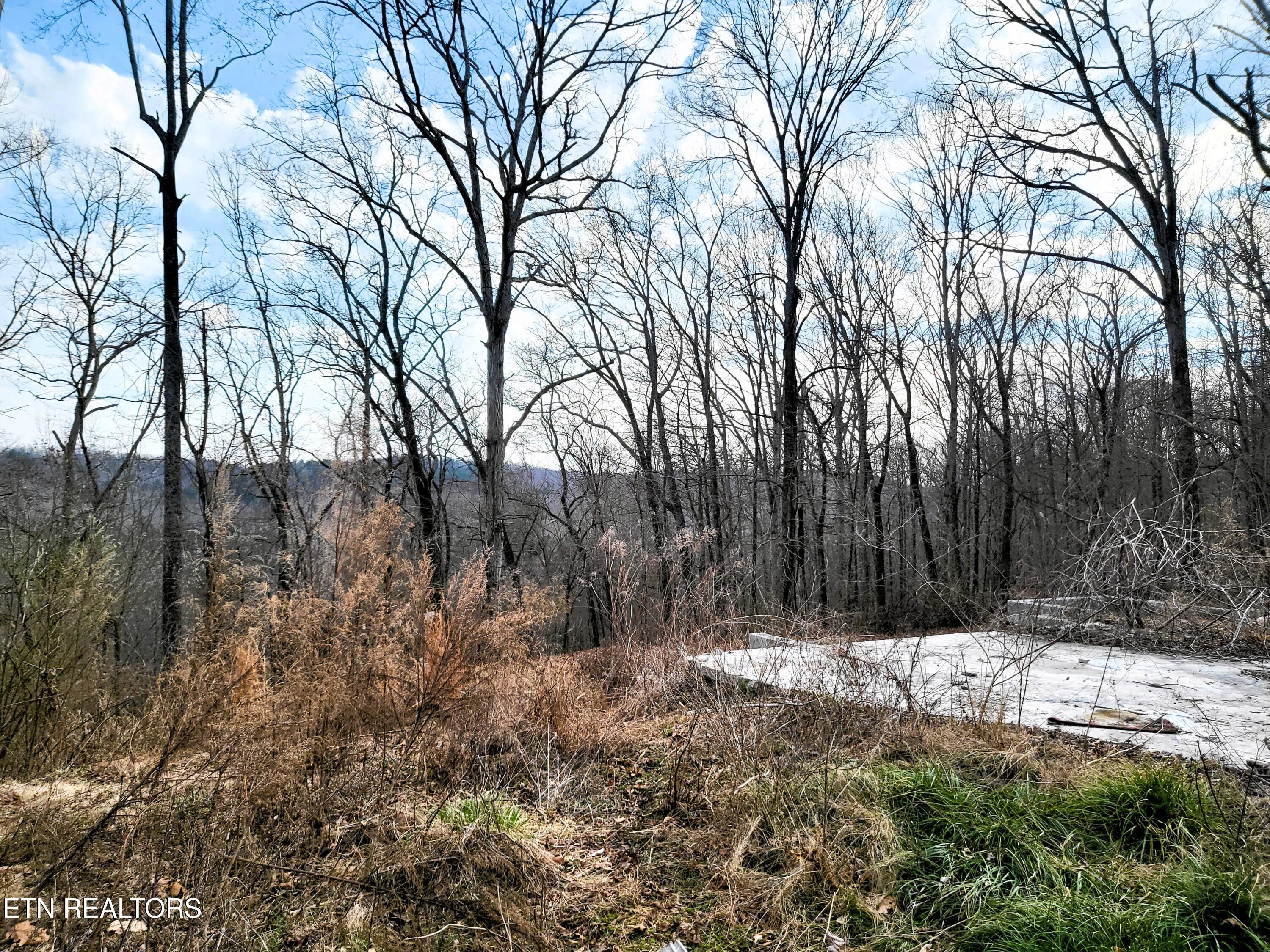 771 County Road 188 Decatur, TN 37322 - Photo 6 of 27 VIEW FROM CEMENT AT THE TOP