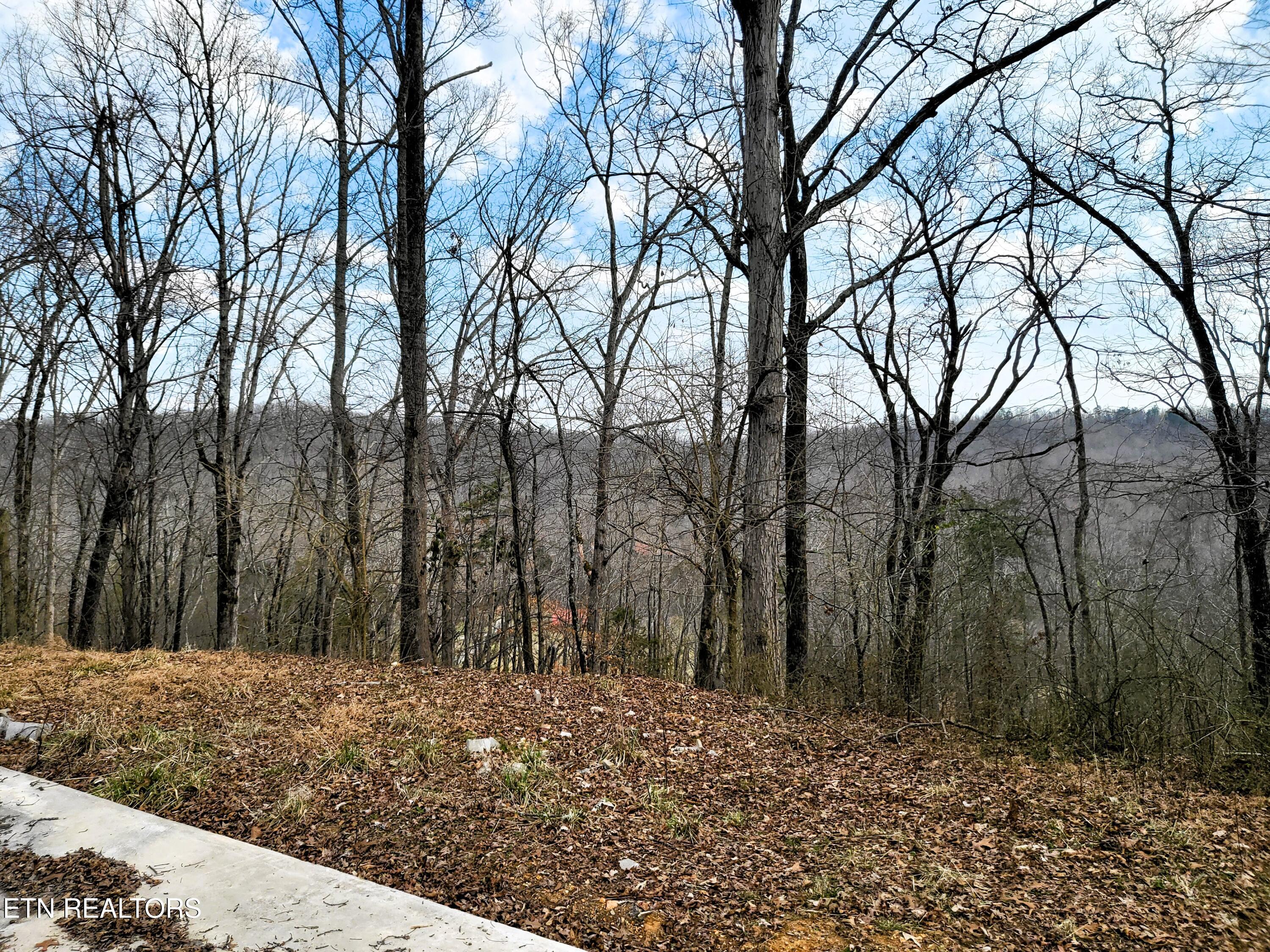 771 County Road 188 Decatur, TN 37322 - Photo 7 of 27 VIEW FROM BACK OF BASEMENT AREA