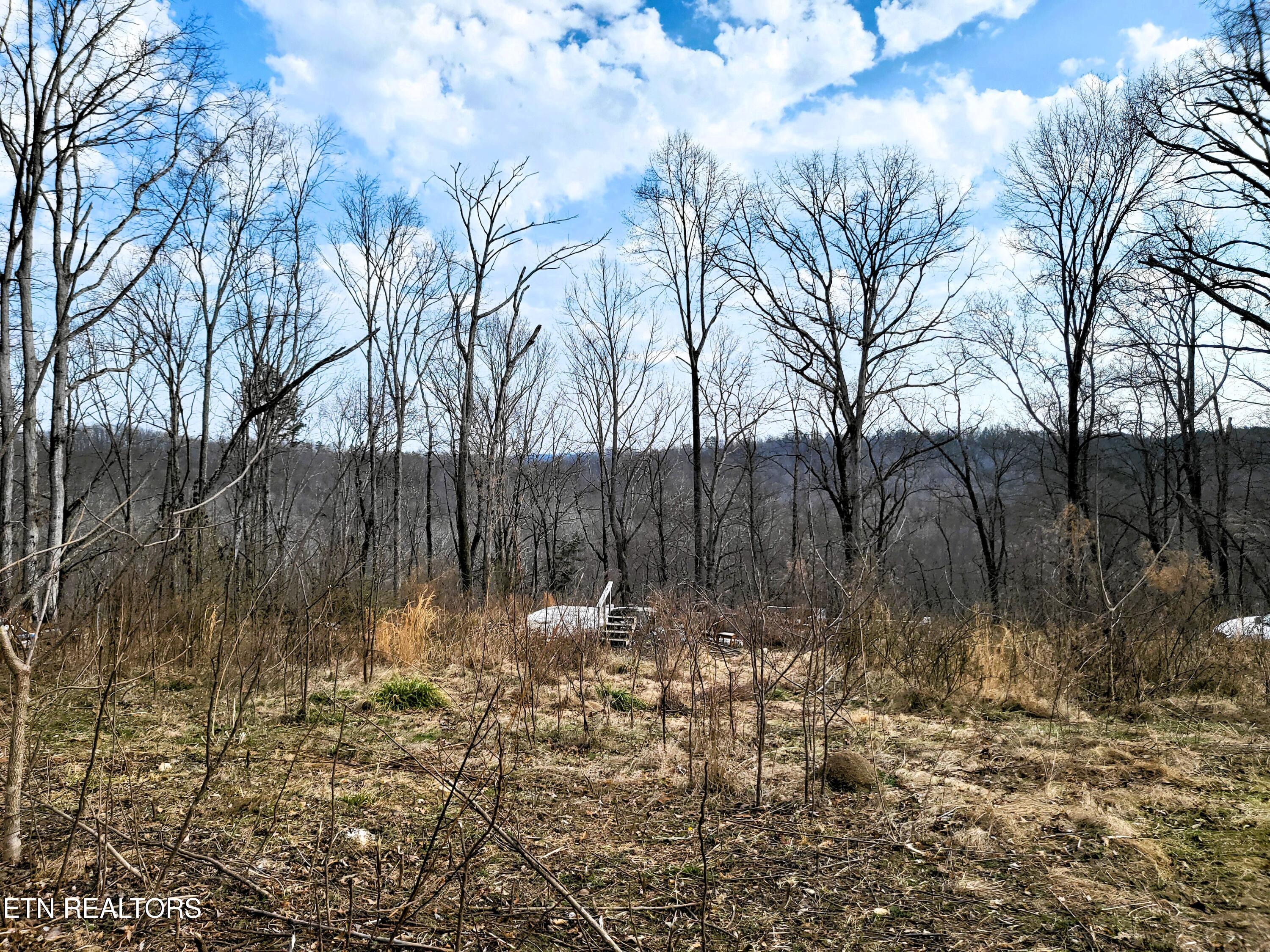771 County Road 188 Decatur, TN 37322 - Photo 8 of 27 VEIW