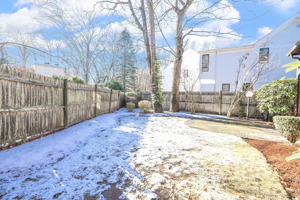 16 Carthay Circle, Unit 16 Newton, MA 02461 - Photo 29 of 29 a view of backyard with large trees