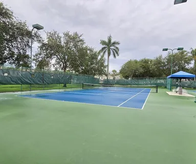a garden view with a fountain