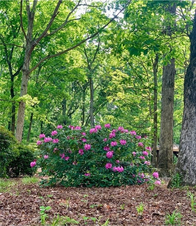 1371 Lipscomb Road Social Circle, GA 30025 - Photo 78 of 82 Gallery Image 78