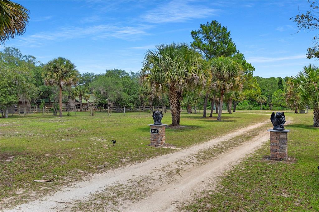 1851 Maytown Road Oak Hill, FL 32759 - Photo 3 of 45