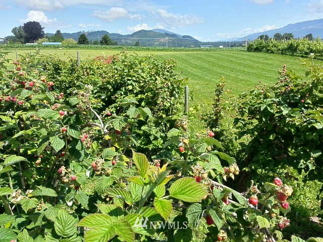 9721 District Line Road Burlington, WA 98233 - Photo 19 of 25 Gallery Image 19