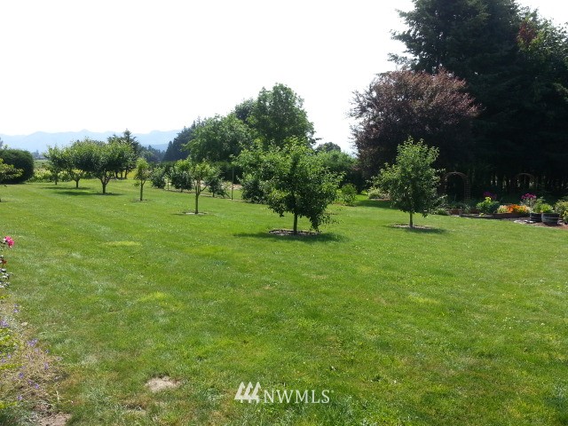 9721 District Line Road Burlington, WA 98233 - Photo 10 of 25 Gallery Image 10